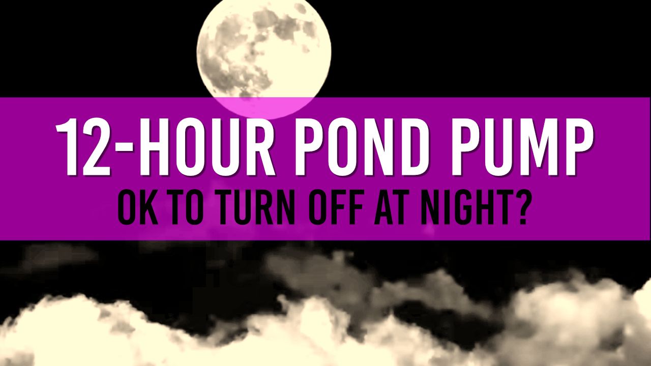 Guide to Maintaining a Healthy Pond Why You Shouldn't Turn Off Your