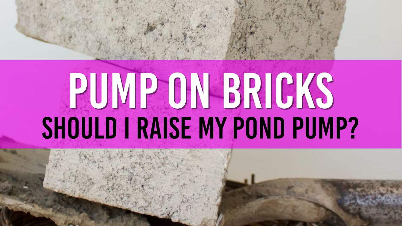 Using Bricks to Raise Your Pond Pump Advantages and HowTo Guide