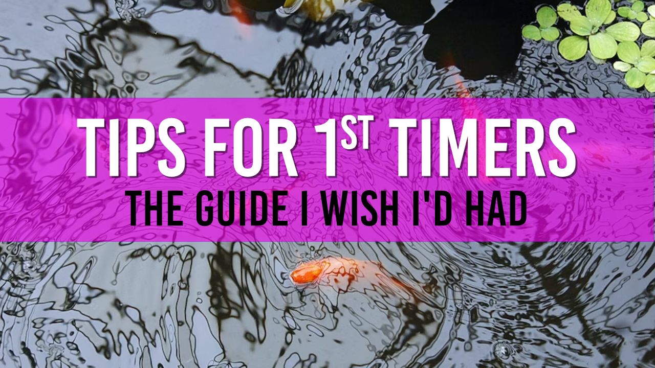 Essential Tips for FirstTime Pond Owners Your Guide to a Thriving Pond