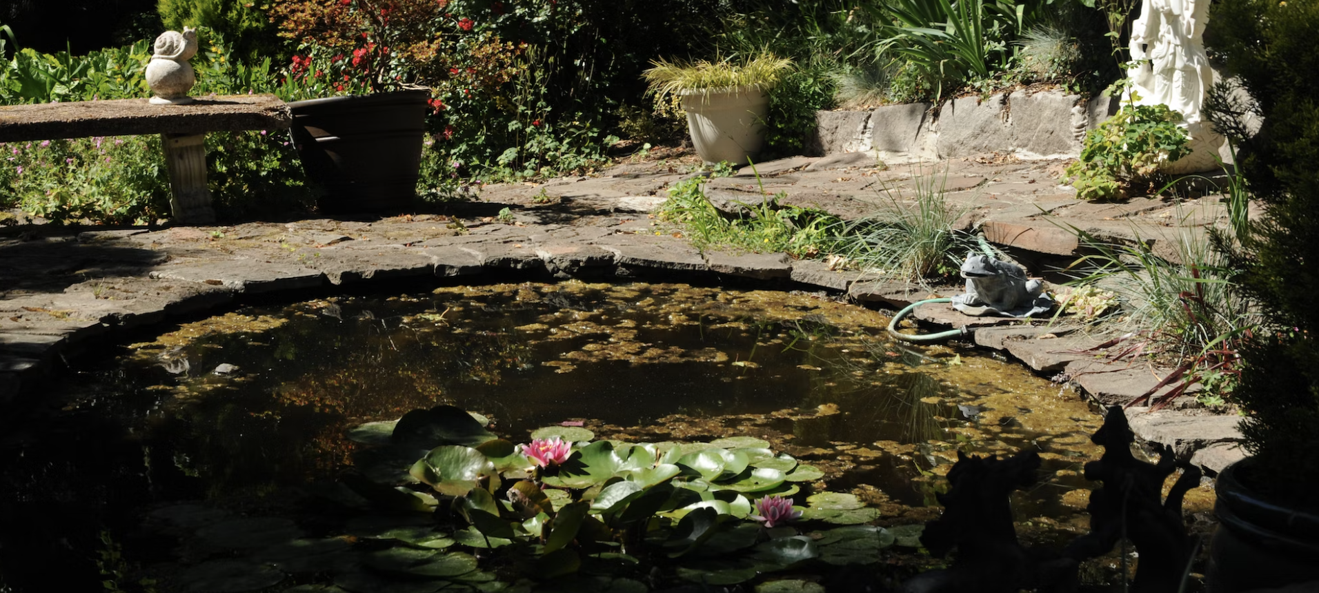 Photo of a sunken garden pond with lilies