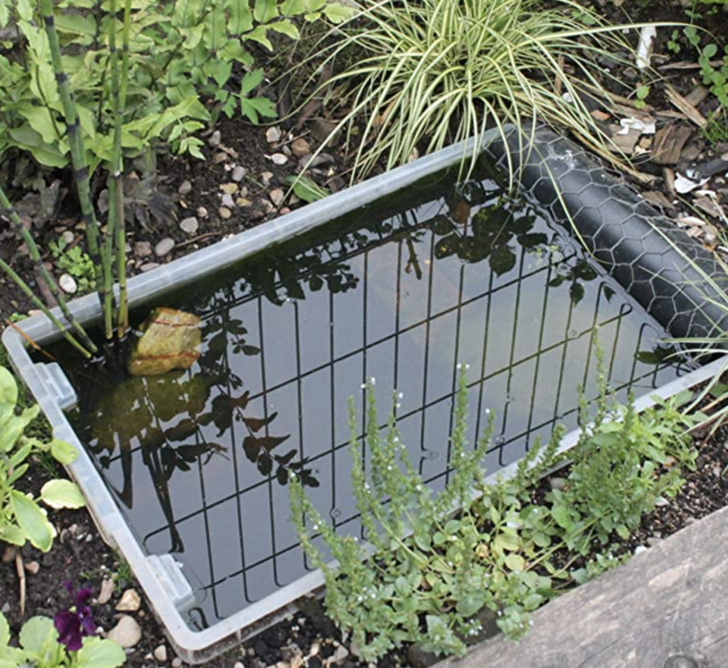 Sunken Wildlife pond made from a plastic liner