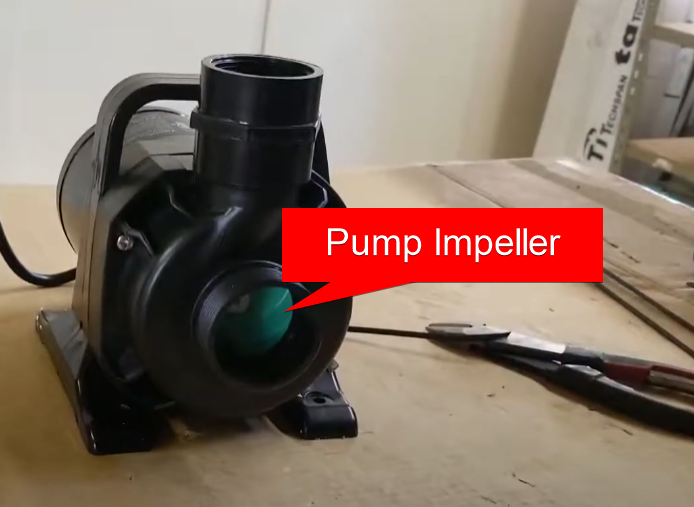 Photo of a Pond Pump Impeller