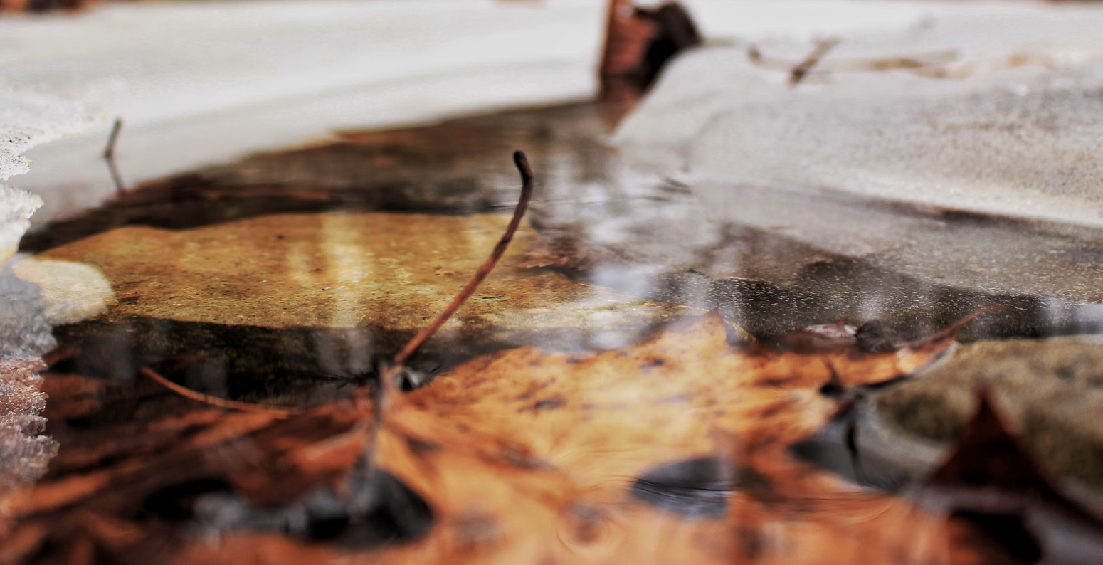 Close up photo of a garden pond which as frozen. In the shows some dead leaves.