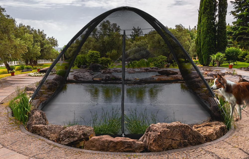 Photo of a popup pond net covering a large pond. The photo also shows a dog and pond plants.