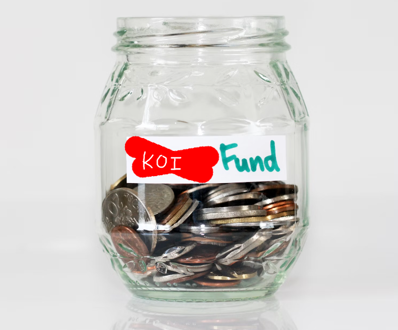 Photo of a money pot with a label reading "KOI Fund"