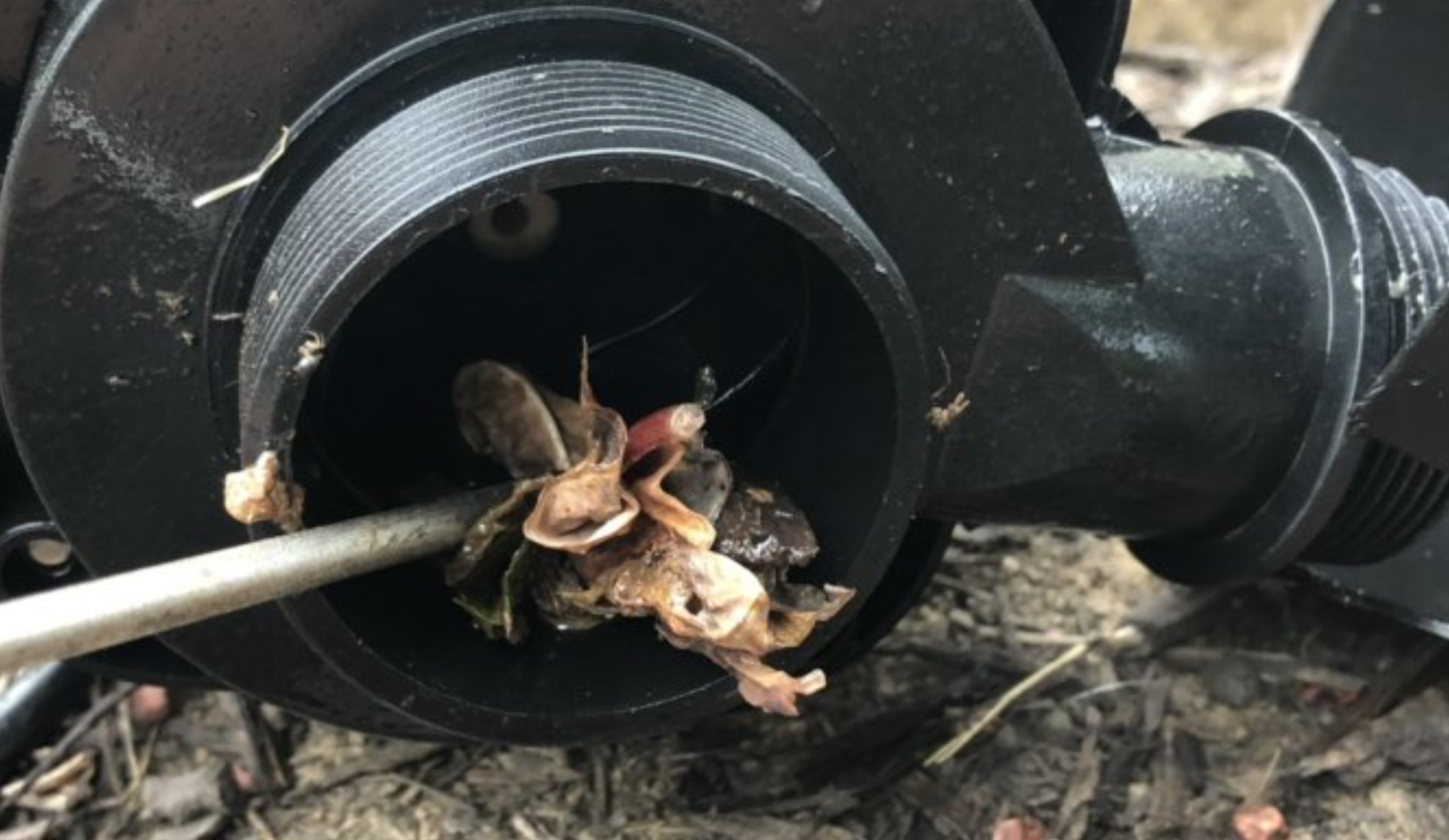 Pond Tripping Electric Box Fuse Common Causes & Solutions