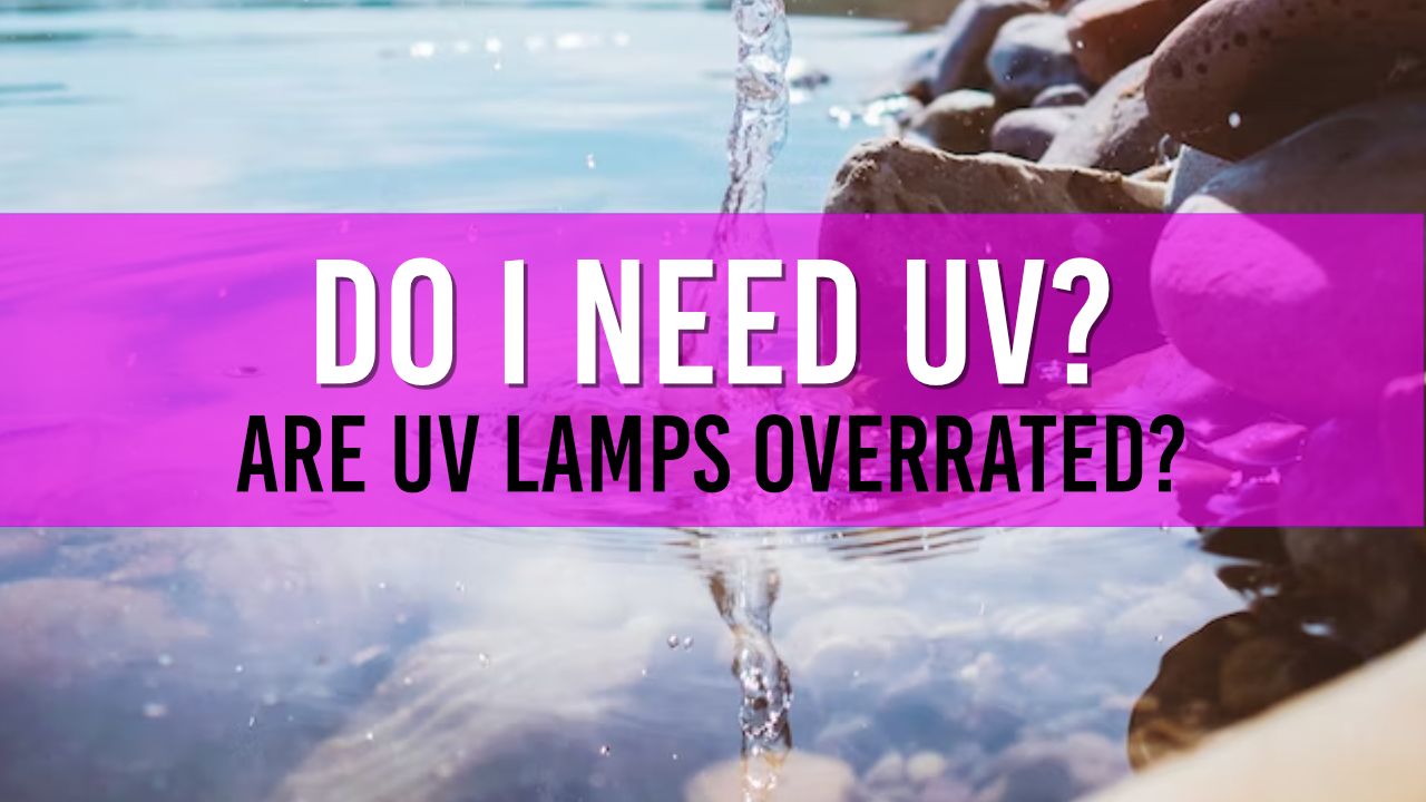 Article photo for Do I need a UV Lamp for my pond?