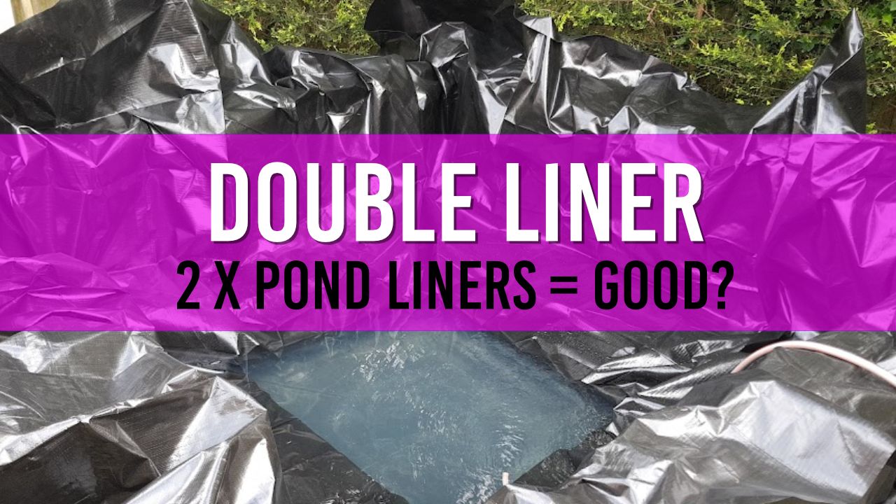 Article photo for Should I double layer my pond liner?