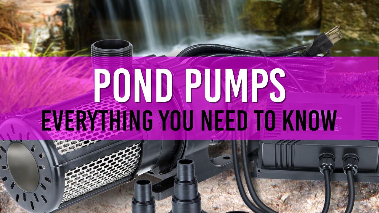 Article photo for Pond Pumps