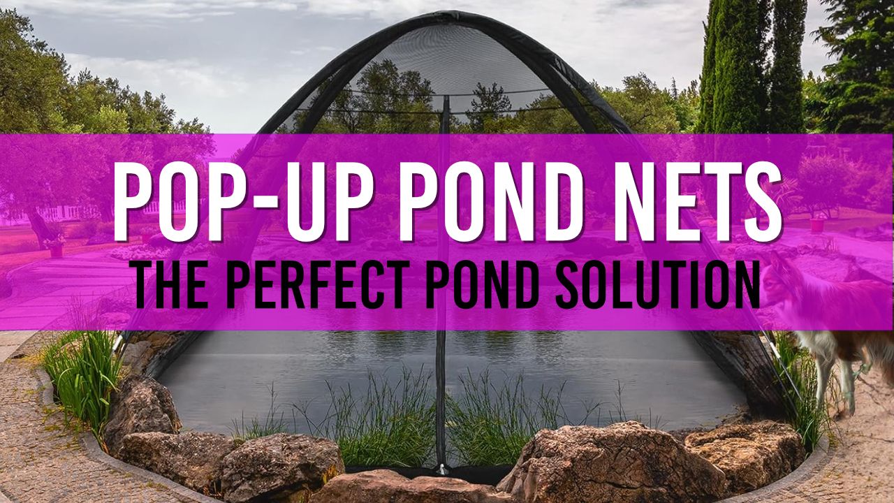 Article photo for Pop Up Pond Nets shows a picture of the pop-up pond net over a pond.