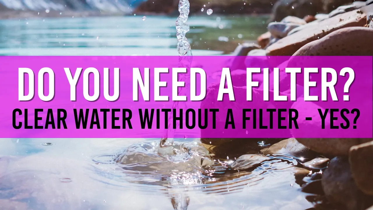 Can you keep your Pond Water Clear without a Filter Box?