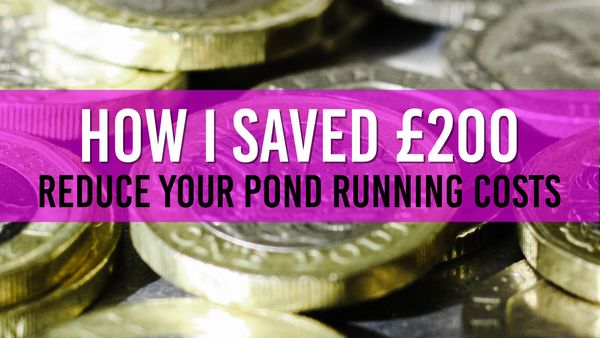 Article photo for How I saved over £200 on my pond running costs