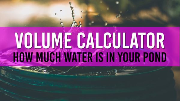 Article photo for Pond Water Volume Calculator