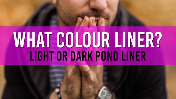 Article photo for Should I have a light or dark coloured pond liner?