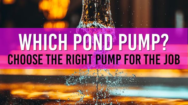 Article photo for Which pond pump do I need for my pond?